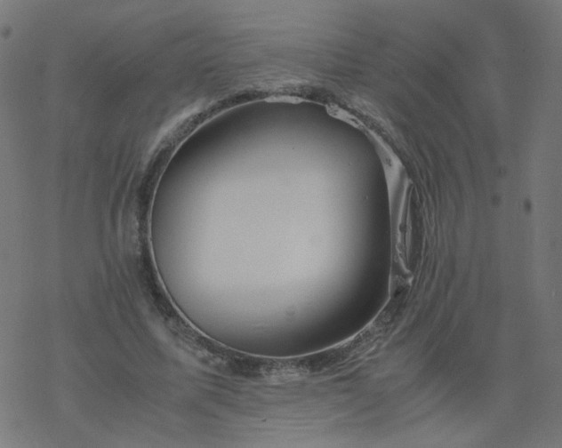 X0000077360587200611031848