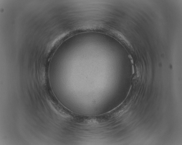 X0000077360588200611031848