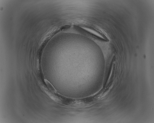 X0000077360589200611031848