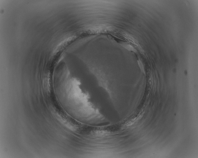 X0000077360590200611031848