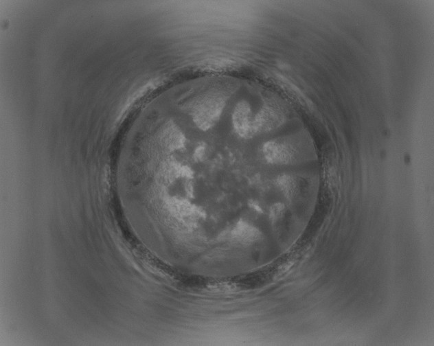 X0000077360591200611031848