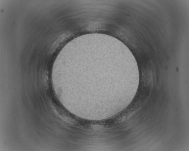 X0000077360592200611031848