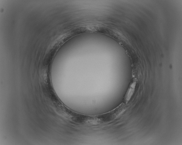 X0000077360595200611031848