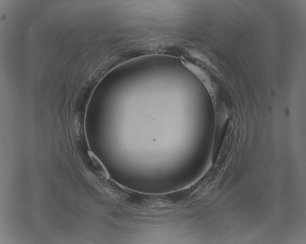 X0000077360597200611031848