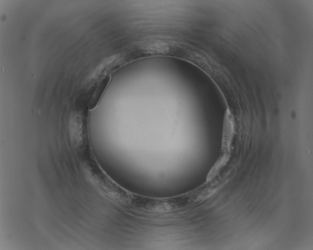 X0000077360600200611031848