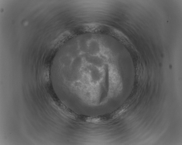 X0000077360602200611031848