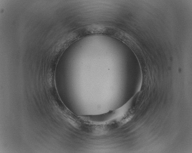 X0000077360604200611031848