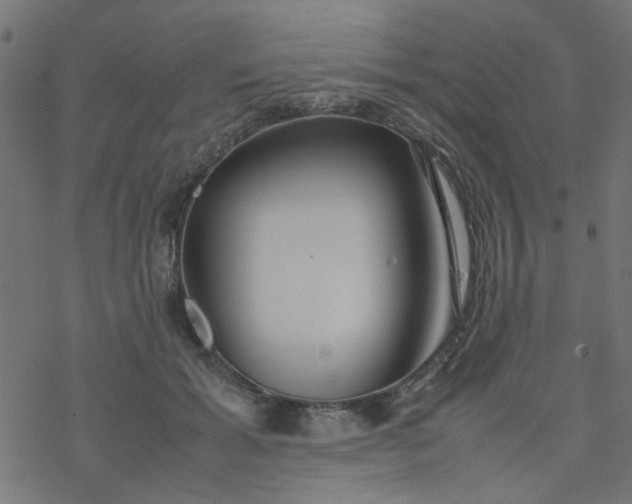 X0000077360605200611031848