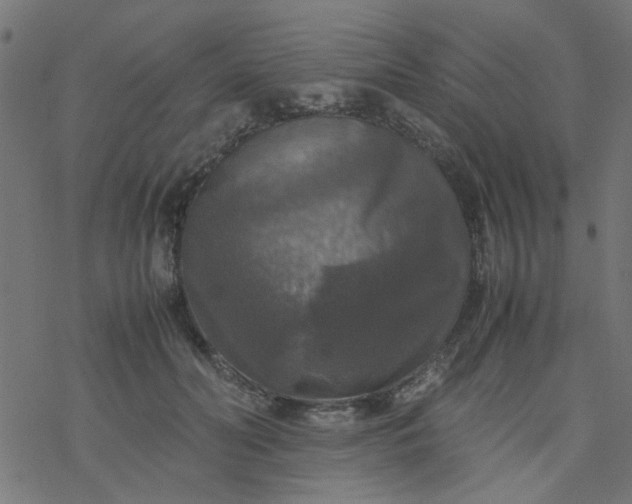 X0000077360606200611031848