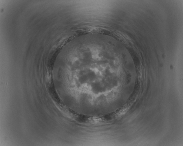 X0000077360607200611031848