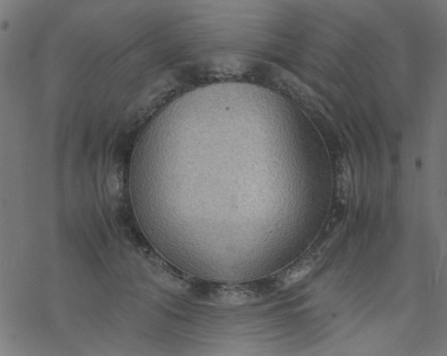 X0000077360608200611031848