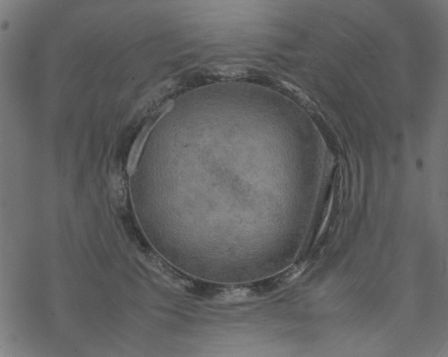 X0000077360609200611031848