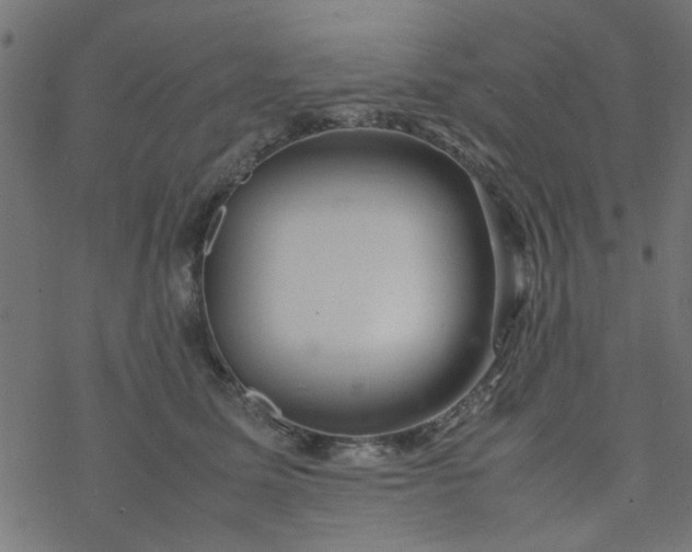 X0000077360611200611031848