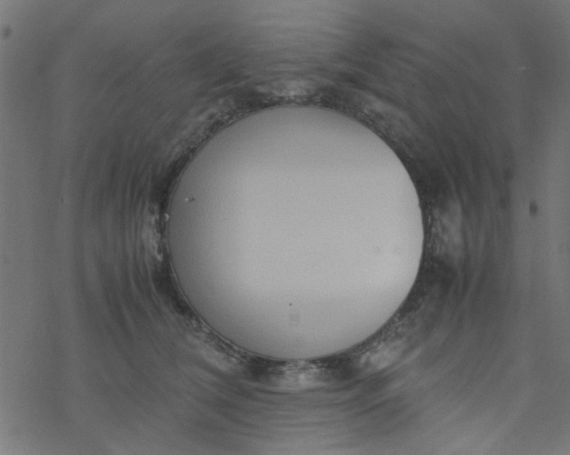 X0000077360612200611031848