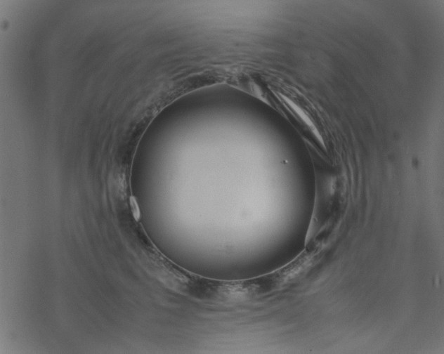 X0000077360613200611031848