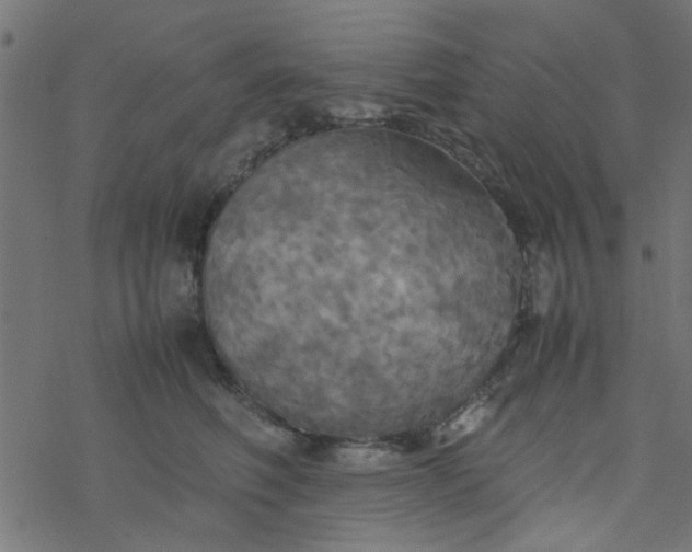 X0000077360614200611031848