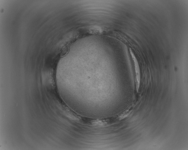 X0000077360616200611031848