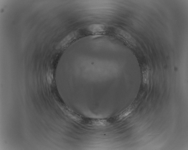 X0000077360618200611031848