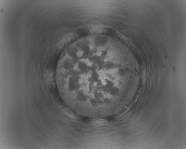 X0000077360619200611031848