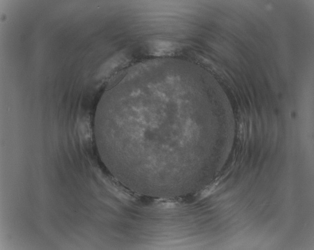 X0000077360620200611031848