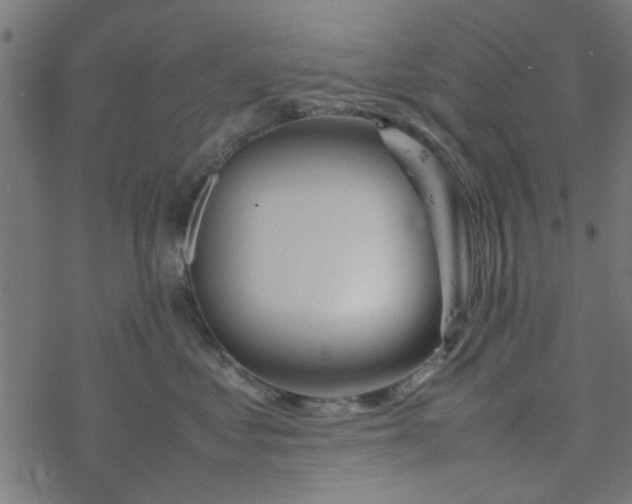 X0000077360621200611031848