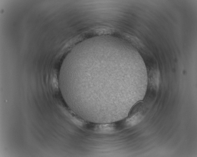 X0000077360622200611031848