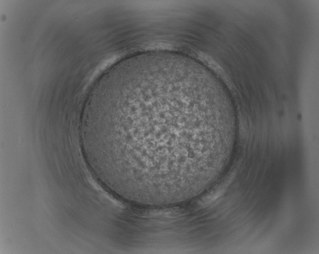 X0000077360625200611031847