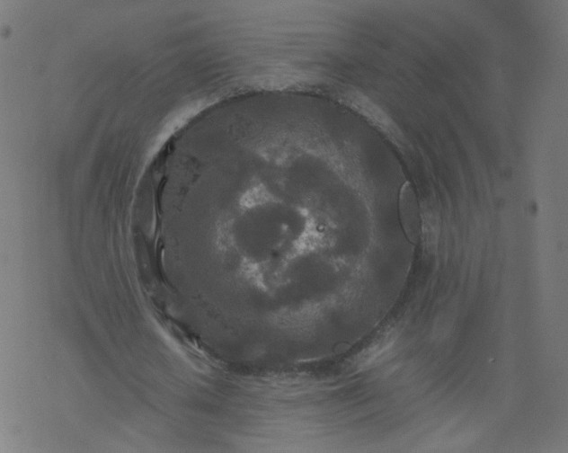 X0000077360626200611031847