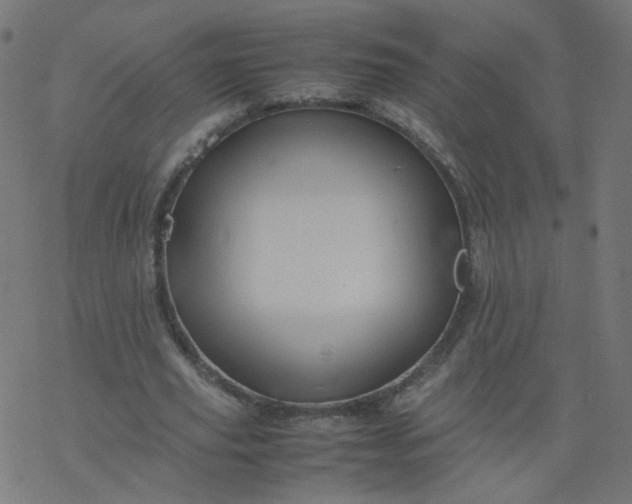 X0000077360629200611031847