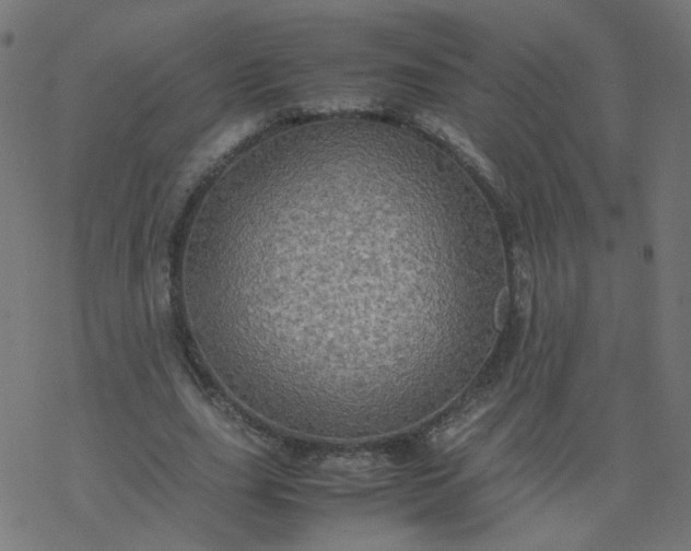 X0000077360631200611031847