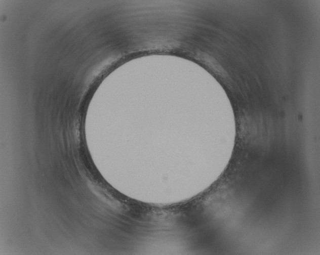 X0000077360632200611031847