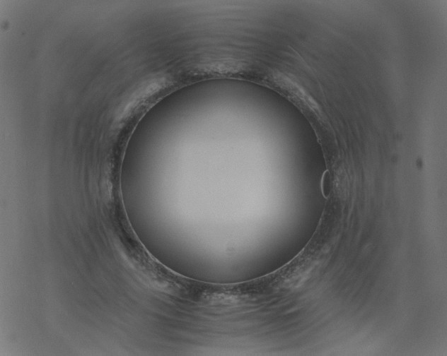 X0000077360635200611031847