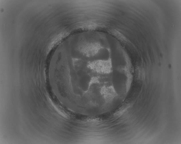 X0000077360638200611031847