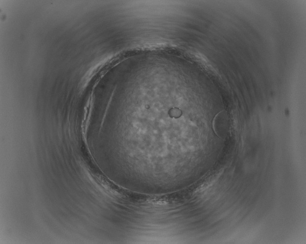 X0000077360640200611031847