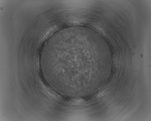 X0000077360642200611031847