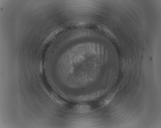 X0000077360644200611031847