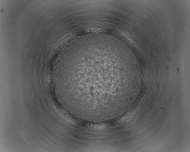 X0000077360645200611031847