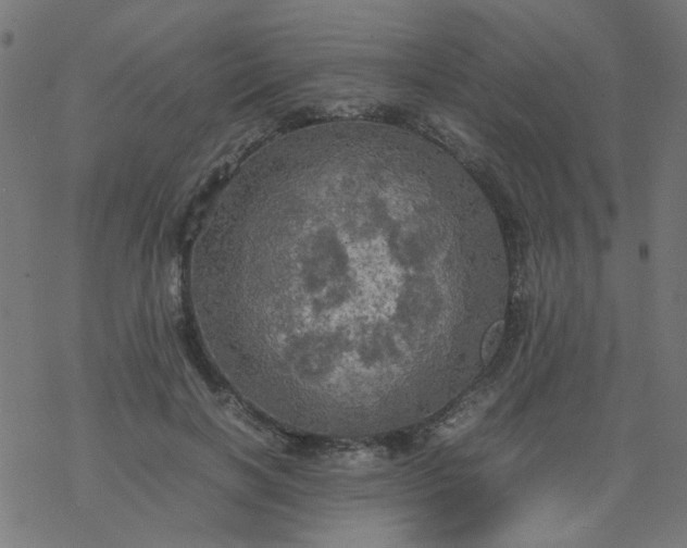 X0000077360646200611031847