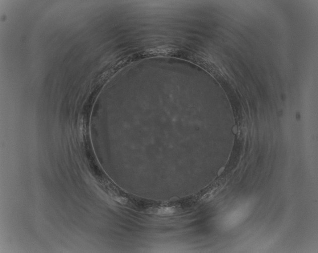 X0000077360647200611031847