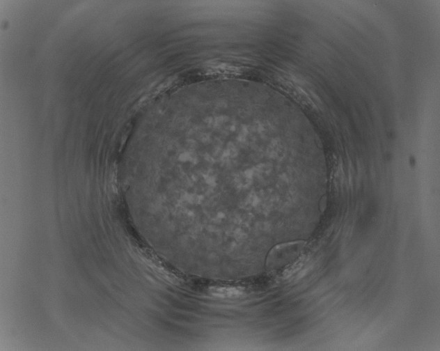 X0000077360649200611031847