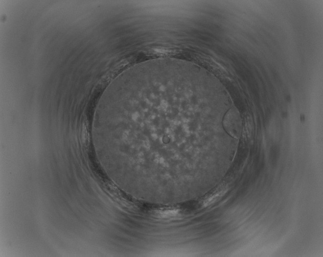 X0000077360651200611031847