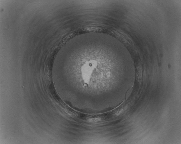 X0000077360653200611031847