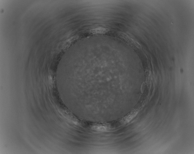 X0000077360655200611031847