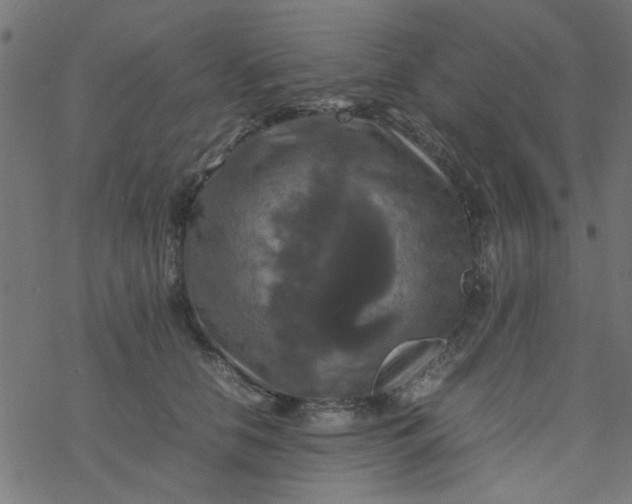 X0000077360658200611031847