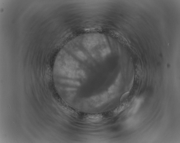 X0000077360659200611031847