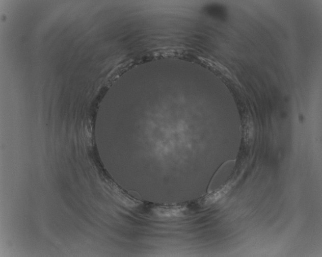 X0000077360661200611031847