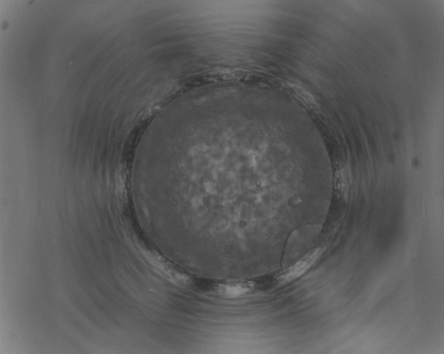 X0000077360662200611031847