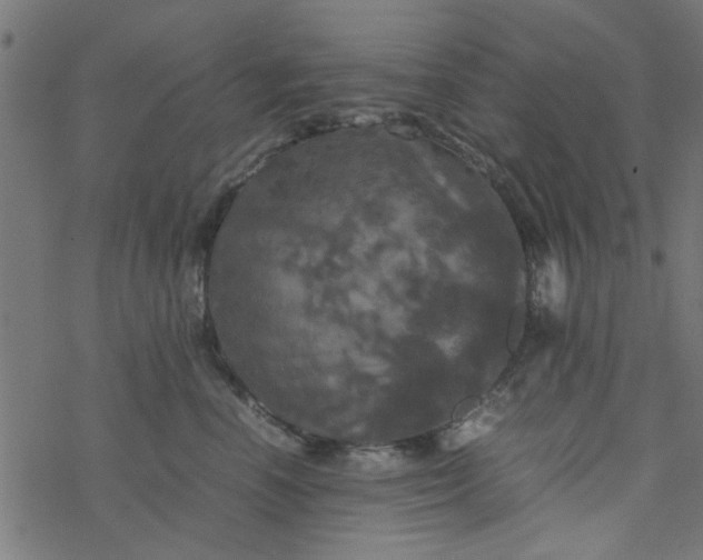 X0000077360666200611031847