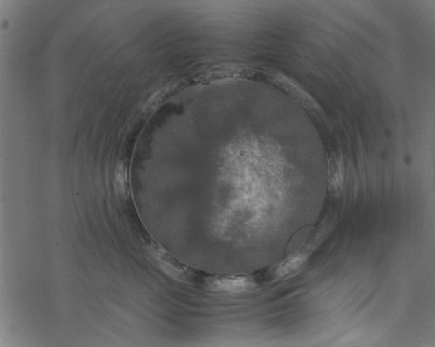 X0000077360669200611031847