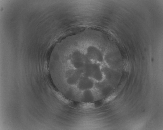 X0000077360670200611031848